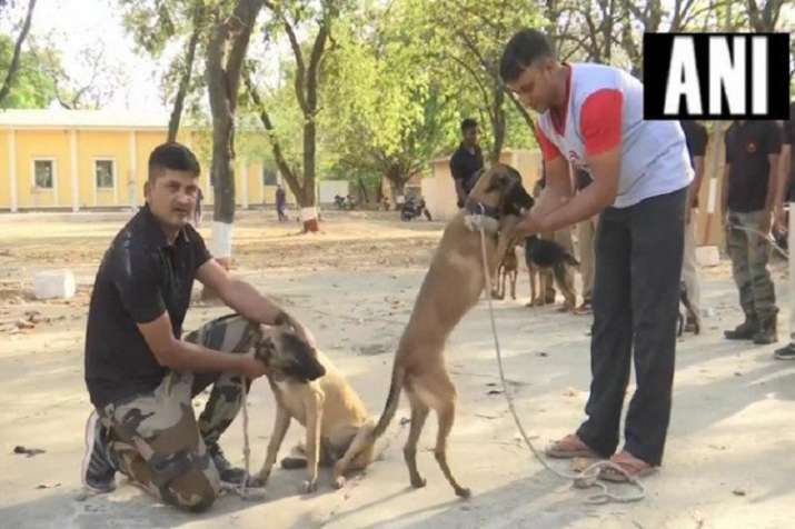 Police dogs Police dogs- India TV