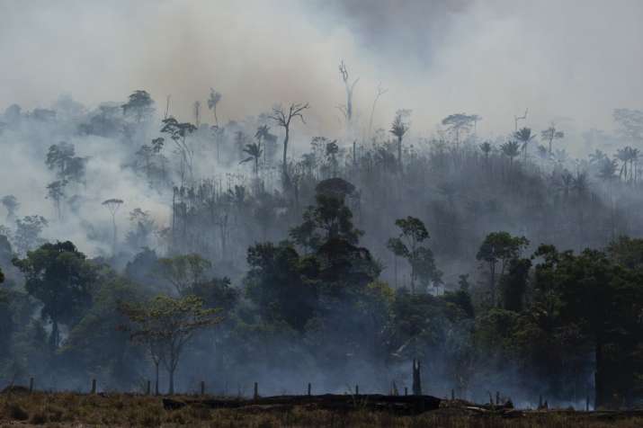 Brazil Fire Brazil Fire- India TV