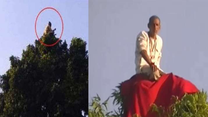 पेड़ के ऊपर बैठे 'बंदरिया बाबा' को देखने यूपी में उमड़ा जनसैलाब पेड़ के ऊपर बैठे 'बंदरिया बाबा' को देखने यूपी में उमड़ा जनसैलाब- India TV