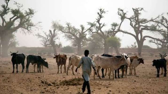 Clashes kill 3 civilians in Darfur of Sudan, says doctors | PTI Representational Clashes kill 3 civilians in Darfur of Sudan, says doctors | PTI Representational- India TV