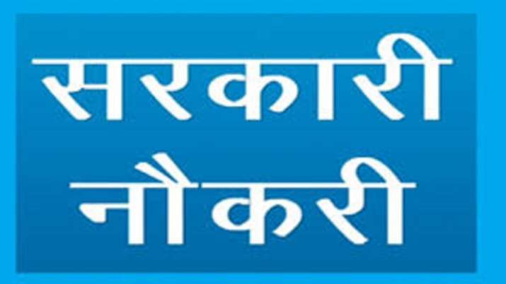 sarkari naukari 2019 sarkari naukari 2019- India TV