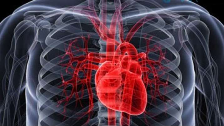 stem cell therapy stem cell therapy- India TV