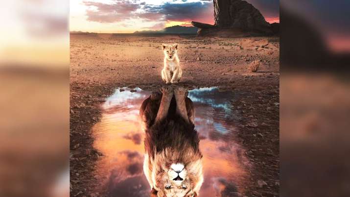 The Lion King The Lion King- India TV