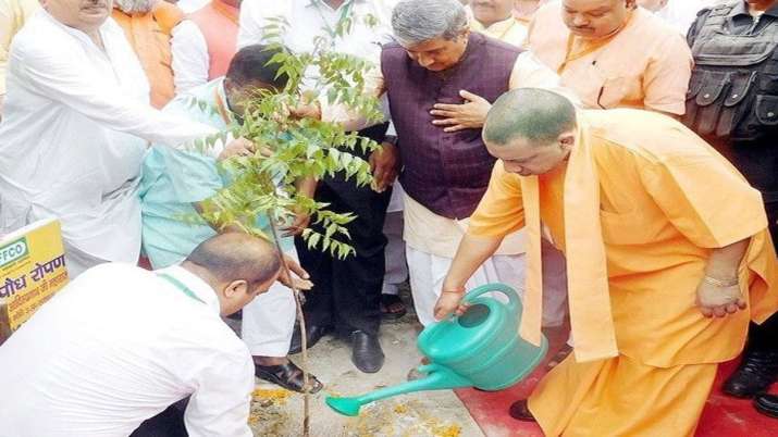 'Vriksharopan Mahakumbh' launched with target to plant 22 cr saplings in UP 'Vriksharopan Mahakumbh' launched with target to plant 22 cr saplings in UP- India TV