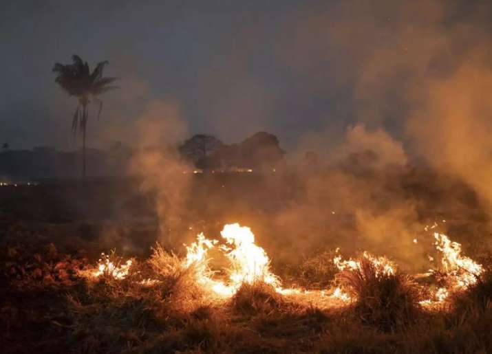 amazon forest fire amazon forest fire- India TV