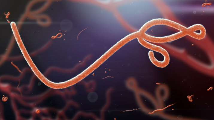 EBOLA VIRUS EBOLA VIRUS- India TV