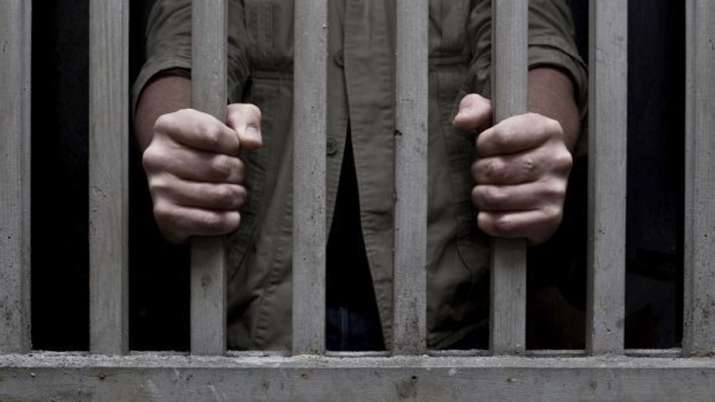 RTI activist who killed homeless man to fake death gets life in jail | PTI Representational RTI activist who killed homeless man to fake death gets life in jail | PTI Representational- India TV