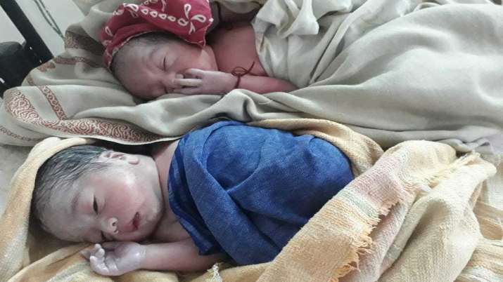 Twins new born babies Twins new born babies- India TV