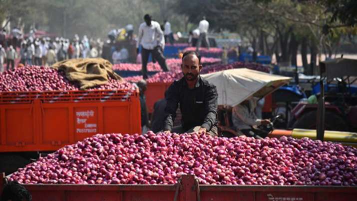 Government imposes Minimum Export price of 850 dollar per ton for onion export Government imposes Minimum Export price of 850 dollar per ton for onion export - India TV Paisa