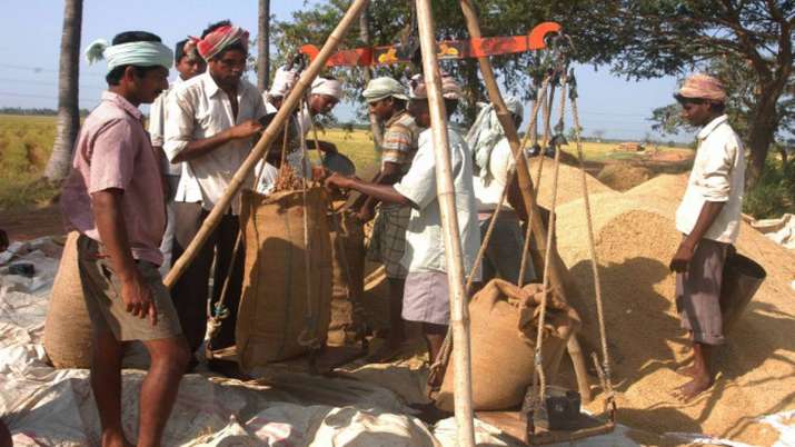 UP govt to procure 50 lakh tonnes paddy in 2019-20 UP govt to procure 50 lakh tonnes paddy in 2019-20- India TV Paisa