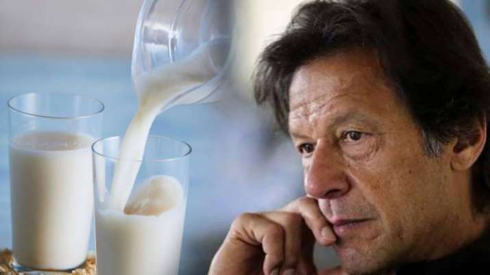 Milk gets costlier than petrol in Pakistan Milk gets costlier than petrol in Pakistan- India TV Paisa
