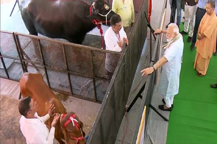 पीएम मोदी का मथुरा दौरा पीएम मोदी का मथुरा दौरा- India TV