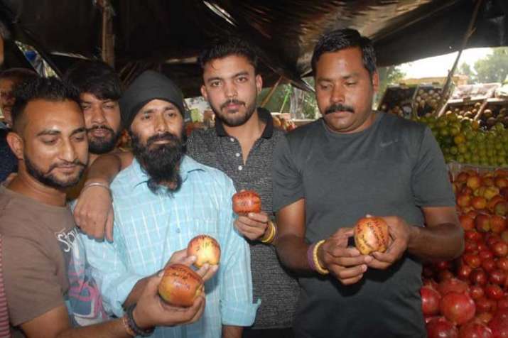 'Azadi', 'Burhan Wani' written on apples from Kashmir;... 'Azadi', 'Burhan Wani' written on apples from Kashmir;...- India TV