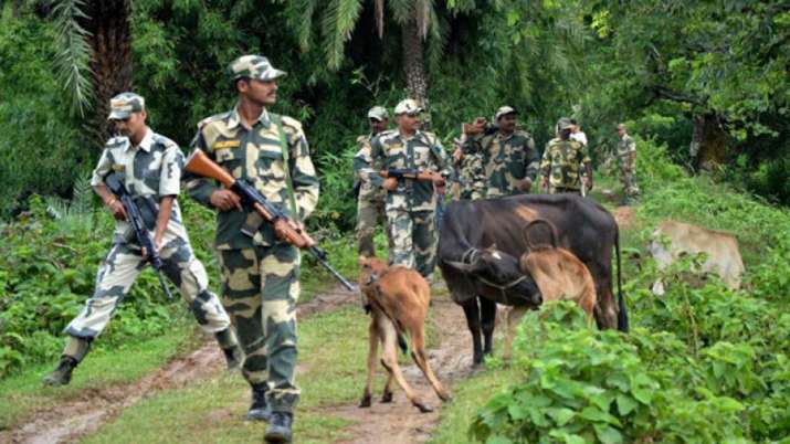 16 Bangladeshis held in BSF raids in West Bengal 16 Bangladeshis held in BSF raids in West Bengal- India TV