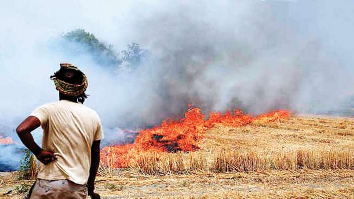 सर्दियां शुरू होने से पहले ही मंडराया दिल्ली पर खतरा, करनाल में किसान जला रहे पराली सर्दियां शुरू होने से पहले ही मंडराया दिल्ली पर खतरा, करनाल में किसान जला रहे पराली- India TV