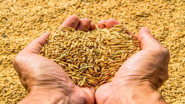 Food grain output seen at 140.57 mt in FY20 on monsoon boost Food grain output seen at 140.57 mt in FY20 on monsoon boost- India TV Paisa