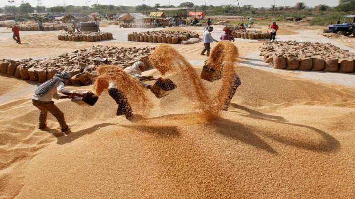 Govt raises minimum support price for wheat by Rs 85 per quintal Govt raises minimum support price for wheat by Rs 85 per quintal- India TV Paisa
