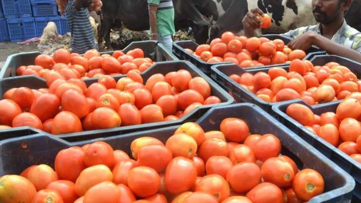 Tomato prices । Representative image Tomato prices । Representative image- India TV Paisa
