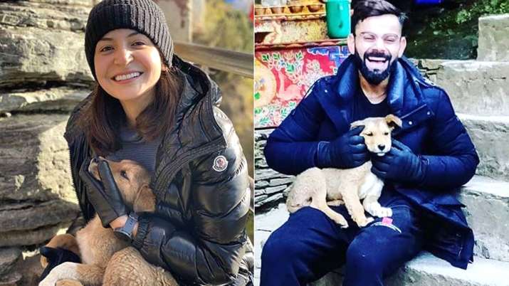 Anushka Sharma and Virat Kohli Anushka Sharma and Virat Kohli- India TV