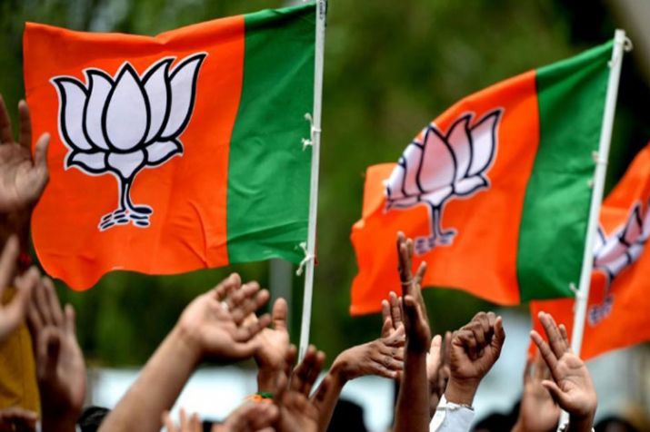 Image result for bjp