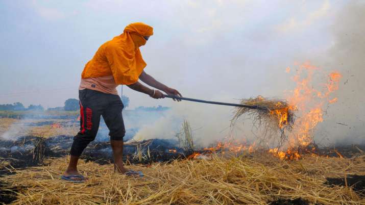 stubble burn, farmer stubble burn, punjab haryana stubble burn, farmer stubble burn, punjab haryana- India TV