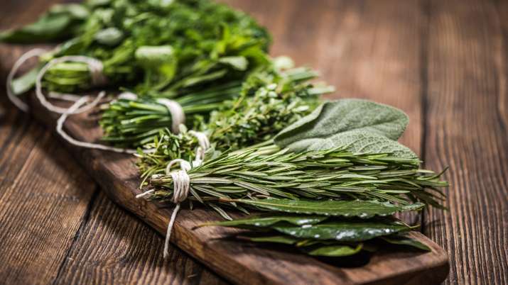 Herbs Herbs - India TV