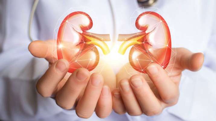 kidney disease treatment in ayurveda kidney disease treatment in ayurveda - India TV