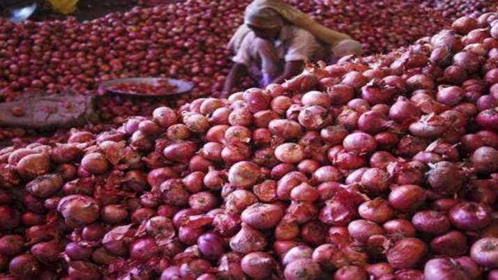 MMTC contracts to import 6,090 tonnes onion to boost supply, cut prices MMTC contracts to import 6,090 tonnes onion to boost supply, cut prices- India TV Paisa