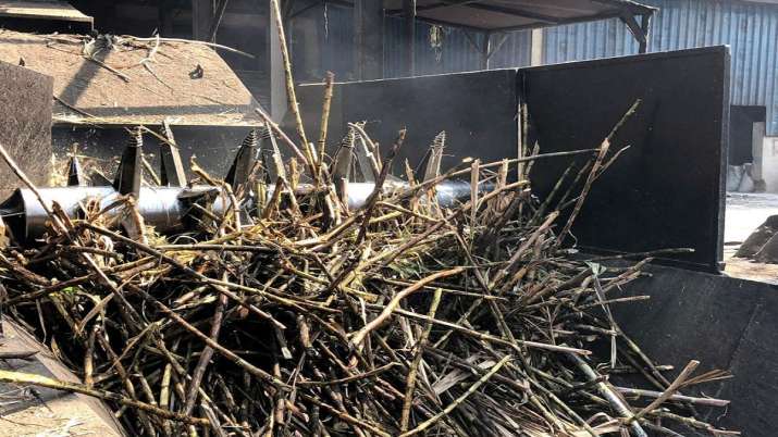 Sugarcane Crushing Sugarcane Crushing- India TV Paisa