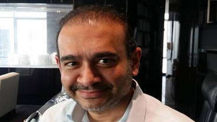 Nirav Modi declared a fugitive economic offender Nirav Modi declared a fugitive economic offender - India TV Paisa