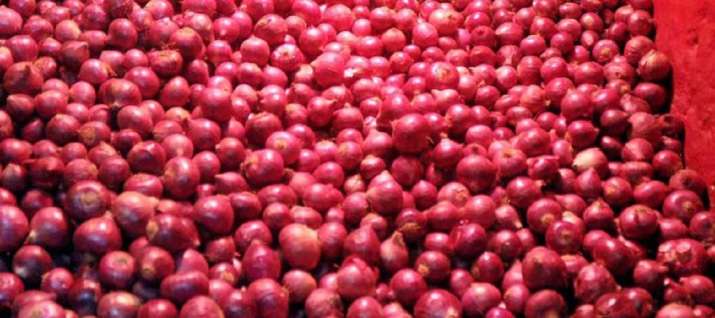 onion stolan from farm onion stolan from farm- India TV