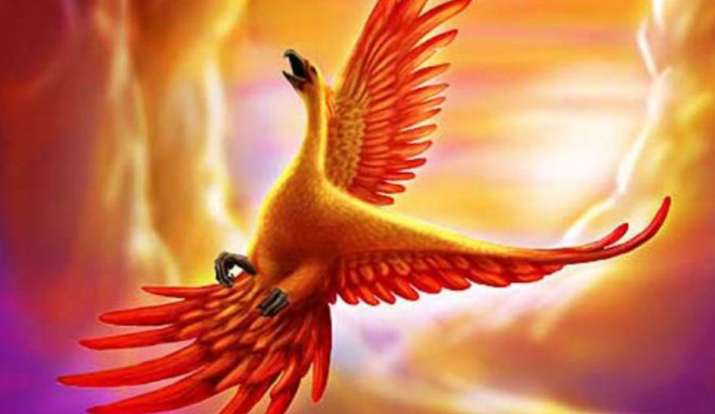 phoenix bird phoenix bird- India TV