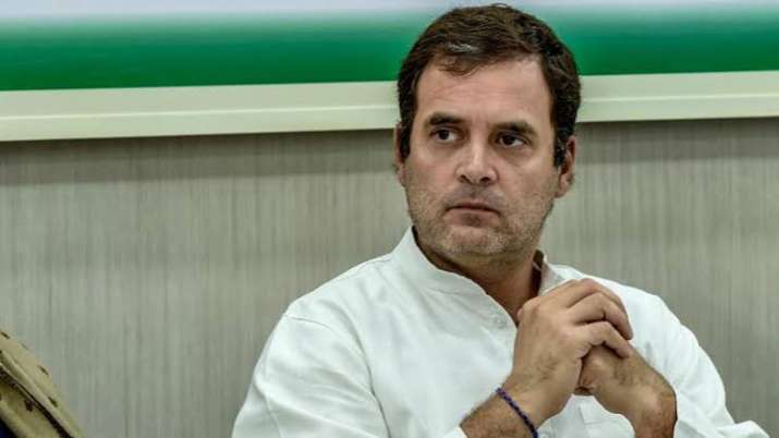 Rahul Gandhi Rahul Gandhi- India TV