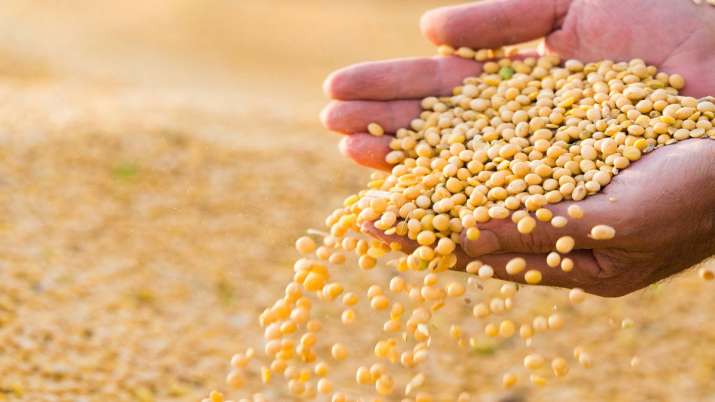 China boosts soybean imports in November after announcing trade agreement with US China boosts soybean imports in November after announcing trade agreement with US- India TV Paisa