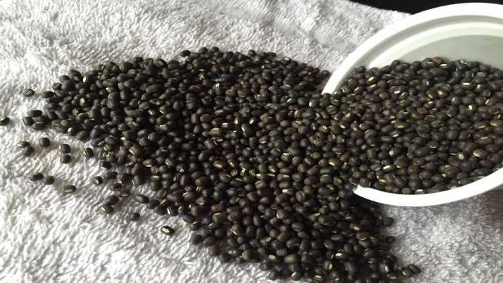 Government allow Import of additional Urad for fiscal year 2019-20 Government allow Import of additional Urad for fiscal year 2019-20- India TV Paisa