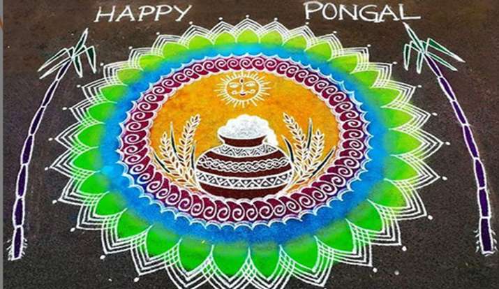 Pongal Rangoli Pongal Rangoli- India TV