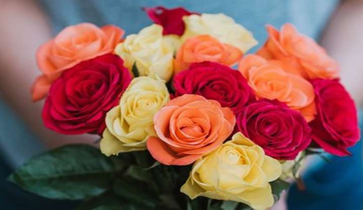 Rose day 2020 Rose day 2020- India TV