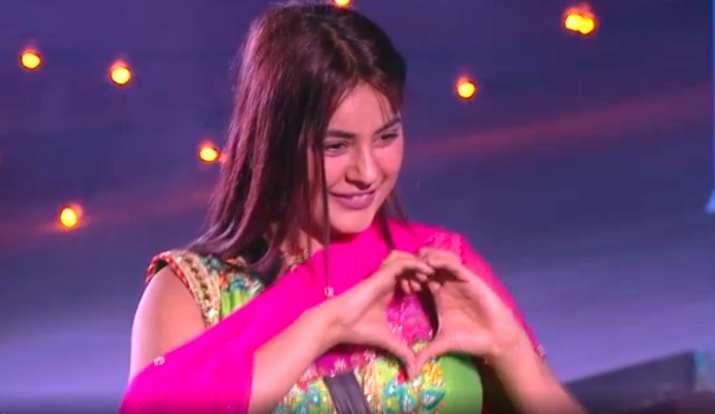 bigg boss 13 shehnaz gill kaur bigg boss 13 shehnaz gill kaur- India TV