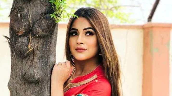 shehnaz gill shehnaz gill- India TV