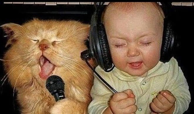 DO NOT DISTURB: साहब रियाज कर... DO NOT DISTURB: साहब रियाज कर...- India TV
